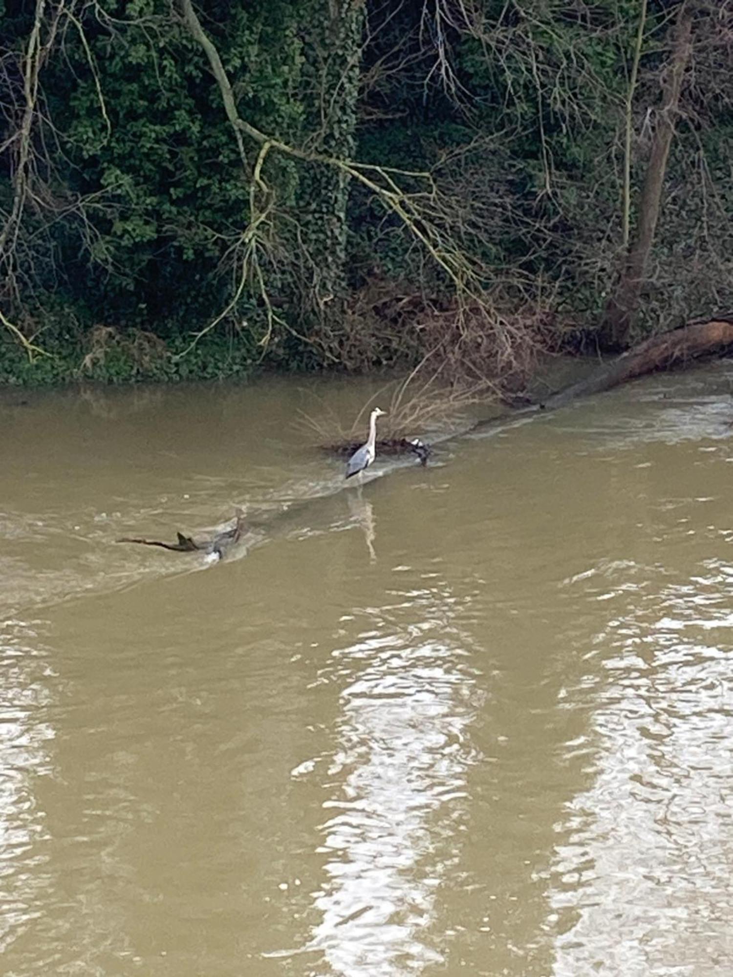 Ferienwohnung Villa Am Fluss Lauf an der Pegnitz Dış mekan fotoğraf